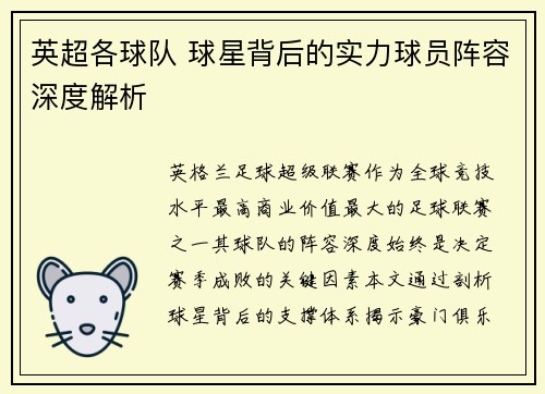 英超各球队 球星背后的实力球员阵容深度解析