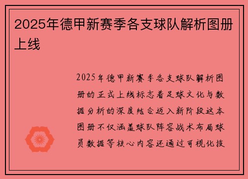 2025年德甲新赛季各支球队解析图册上线